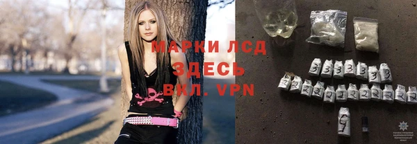 стафф Карпинск