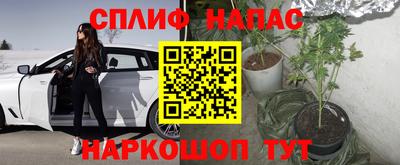 трава Абакан