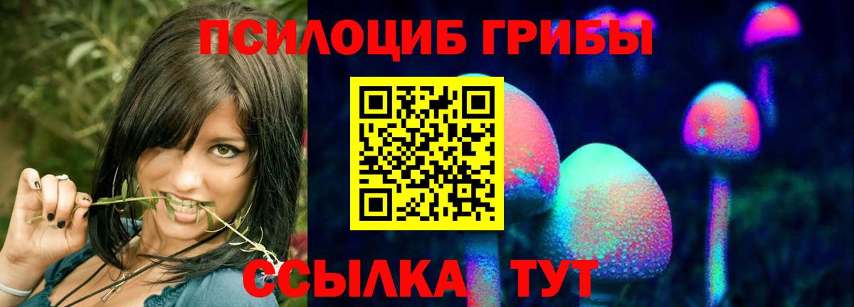 Галлюциногенные грибы Magic Shrooms  Коммунар 